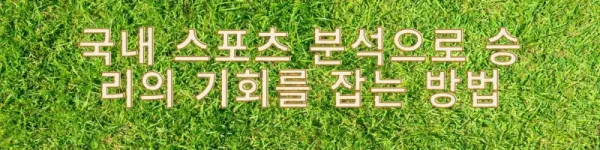 국내 스포츠 분석으로 승리의 기회를 잡는 방법.webp