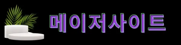 메이저사이트 (25).webp